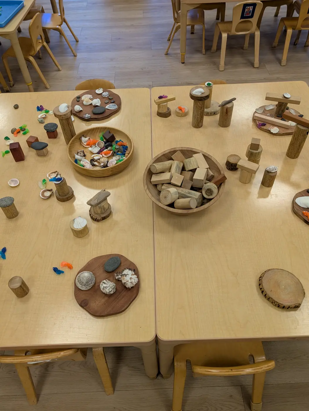 A nature and loose-parts play table with shells, wood, and stones at Blossom Station
