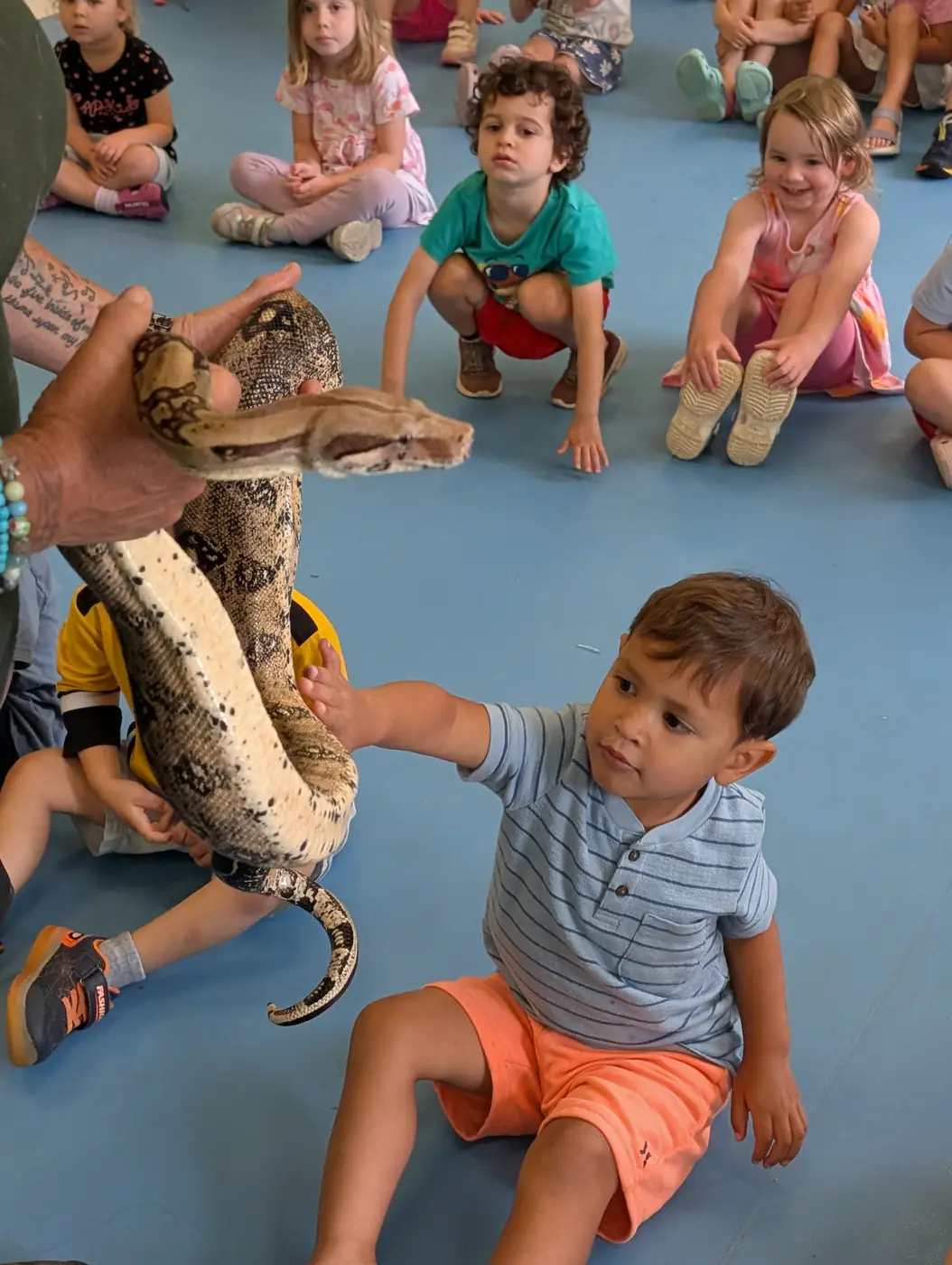 Children meeting a snake at a live animal enrichment show at Blossom Station in Acton, MA